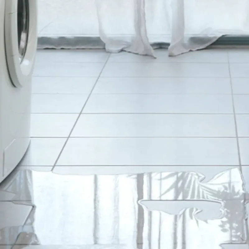 Appliance Leak Cleanup in Silverdale, WA