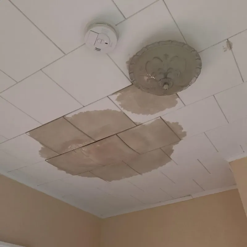 Ceiling Water Damage Repair in Silverdale, WA