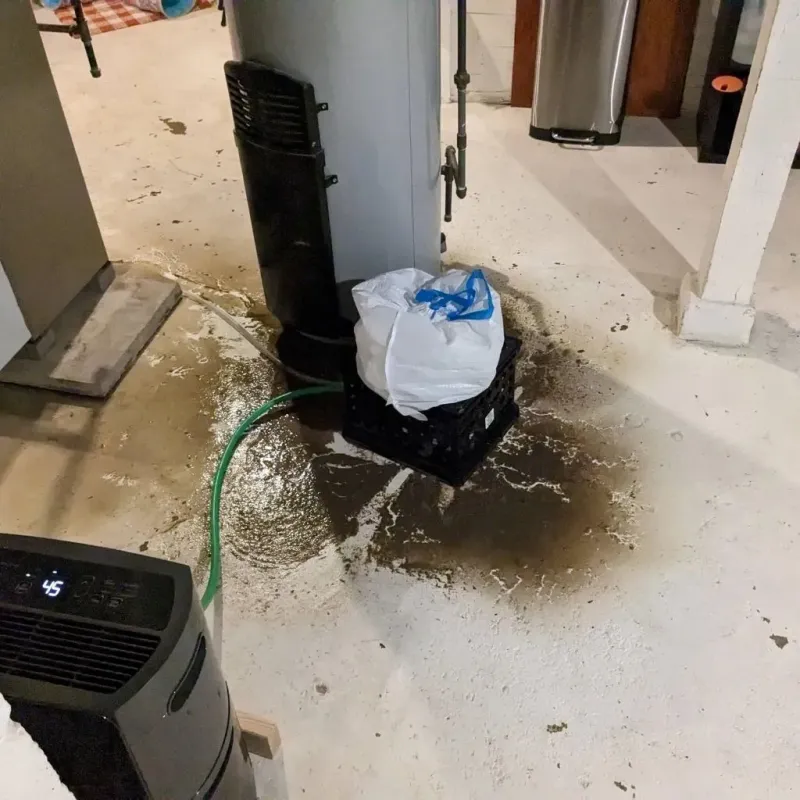 Sewage Backup Cleanup Service in Silverdale, WA